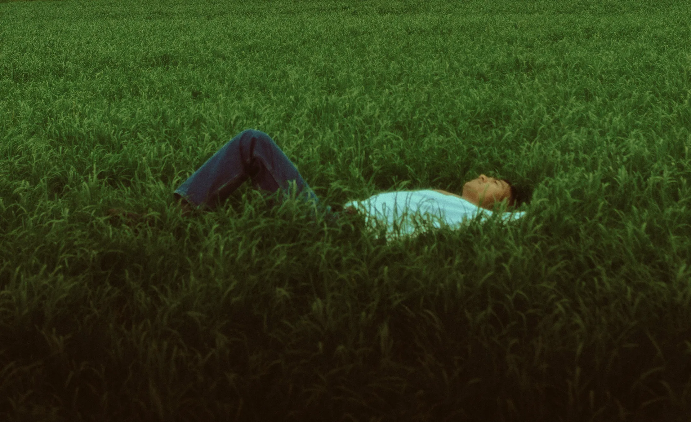 Person liegt entspannt im Gras, daneben die weeh-App